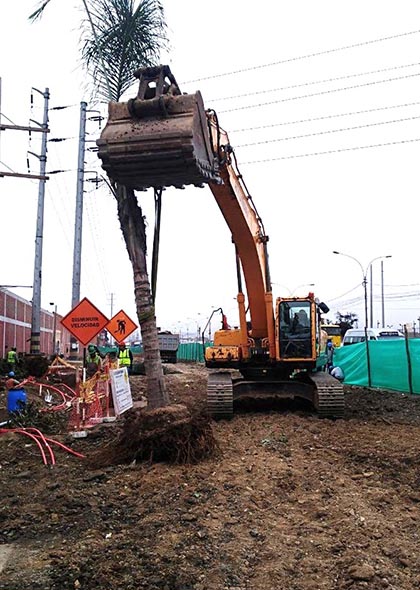 proyecto_sisamaq__0005